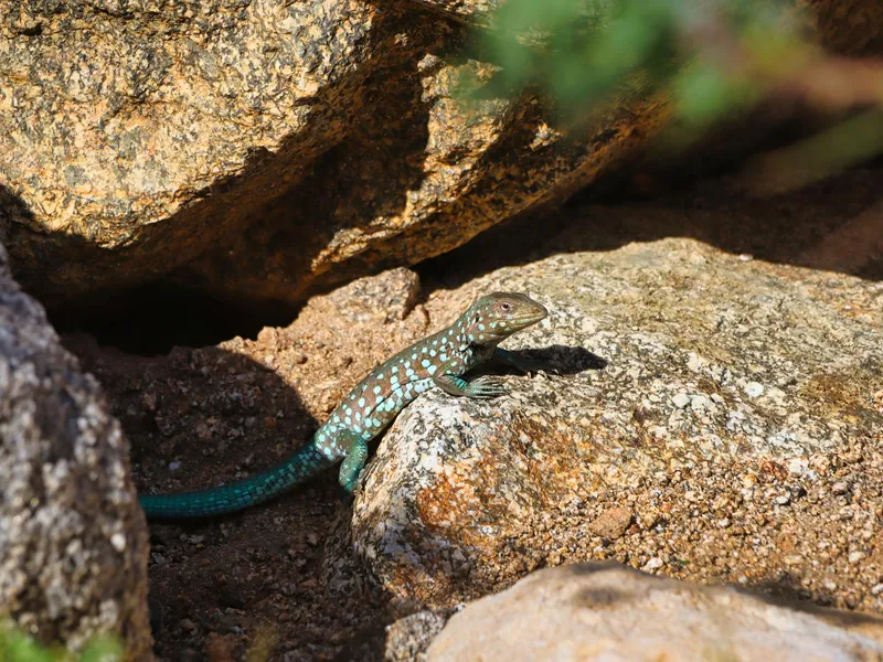 Oranjestad, Aruba - reisfoto door Katie Schankula