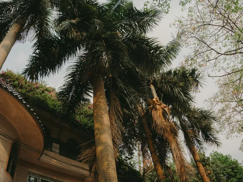 Guangzhou, China - reisfoto door Irina Iriser