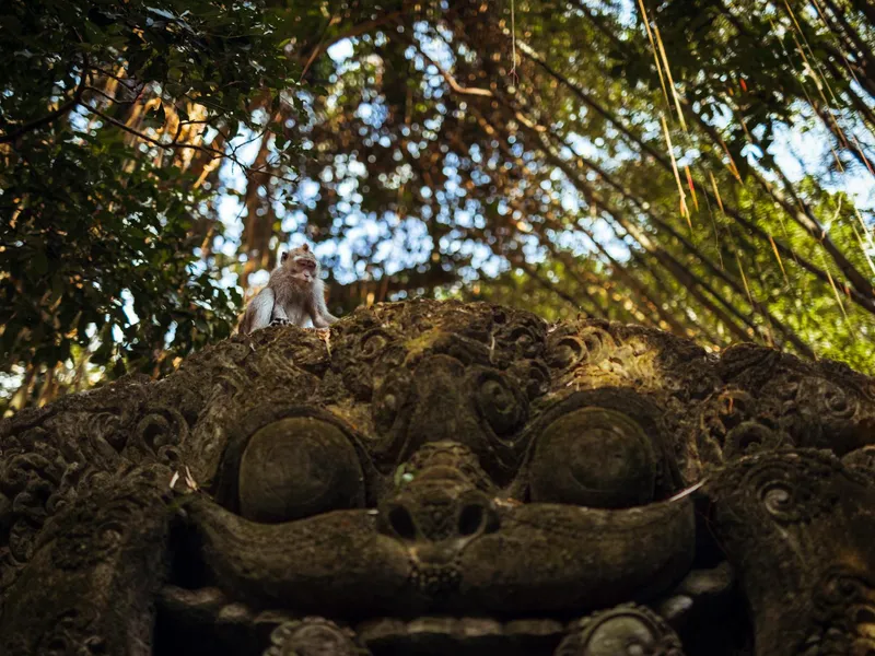Bali (Ubud), Indonesië - reisfoto door Aleksandar Pasaric