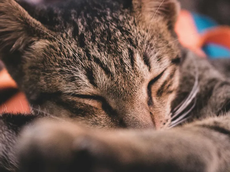Luang Prabang, Laos - reisfoto door Stephane Hurbe