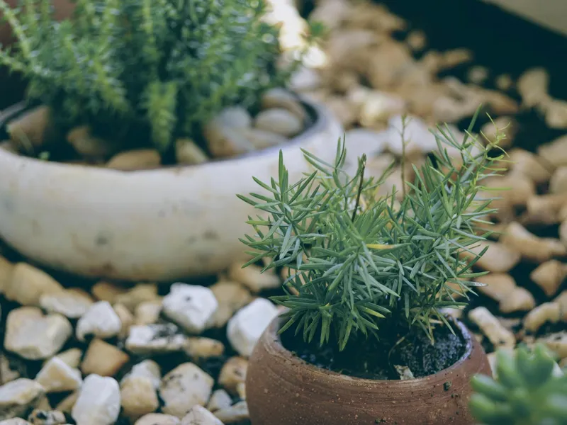 Antananarivo, Madagascar - reisfoto door Rambeloson Gaëtan