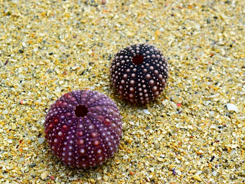 Port Louis, Mauritius - reisfoto door Katerina Chaloupkova