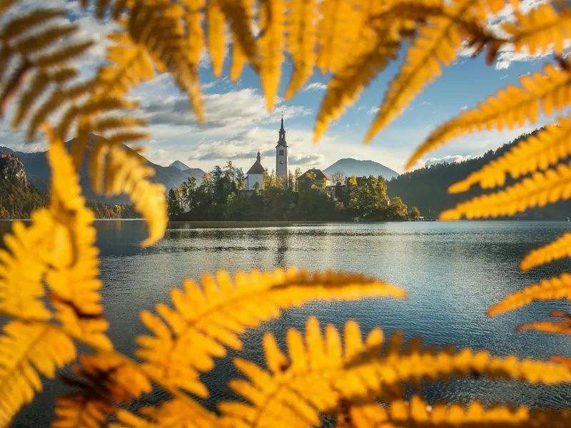 Bled, Slovenië - reisfoto door Krivec Ales