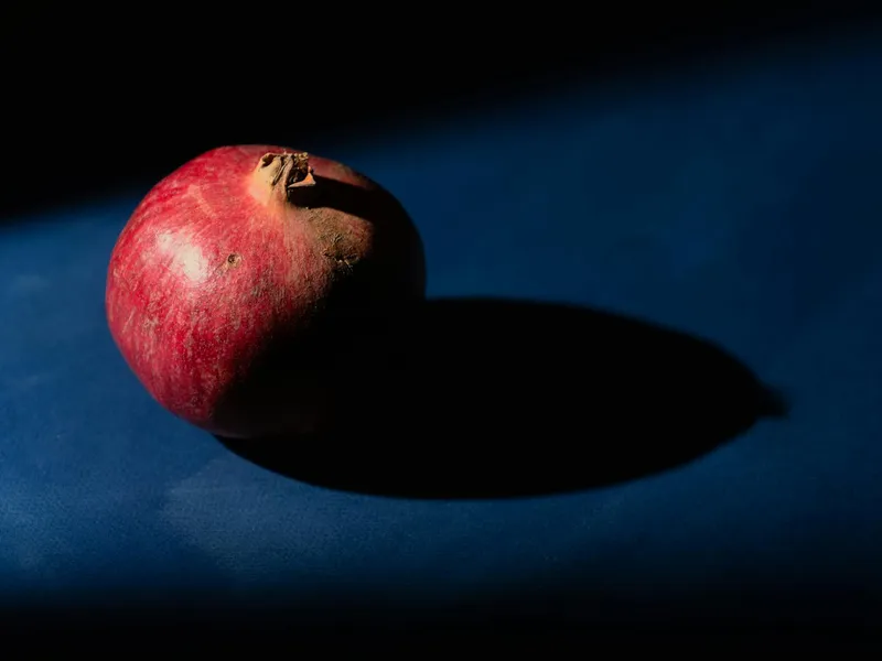 Tunis, Tunesië - reisfoto door Samer Bououd